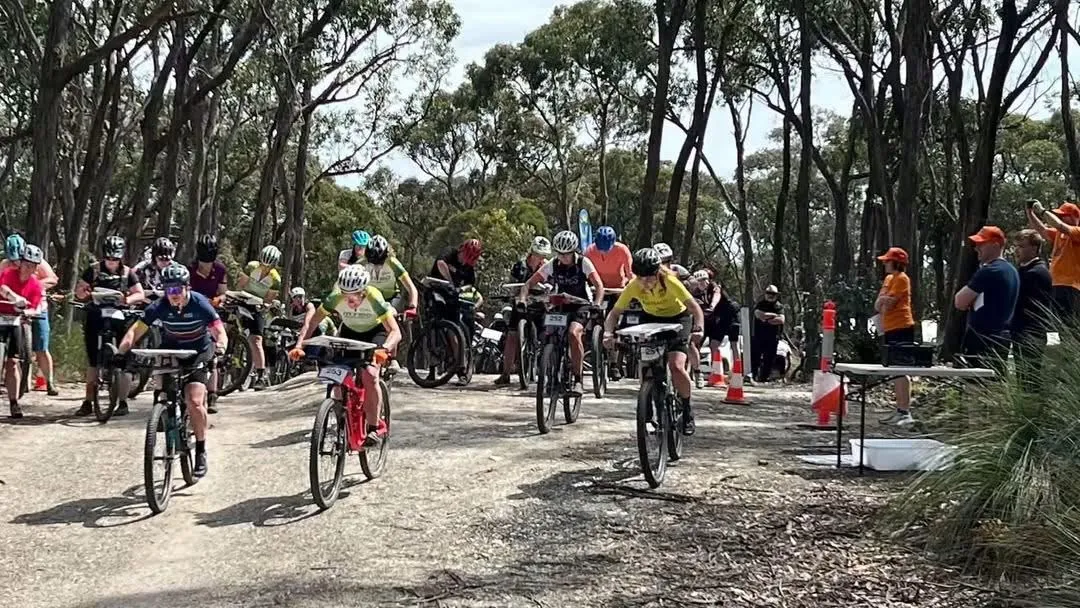 Mountain bike orienteers pushing off from the mass start on a gravel track through gum trees, with officials in orange caps beside the start