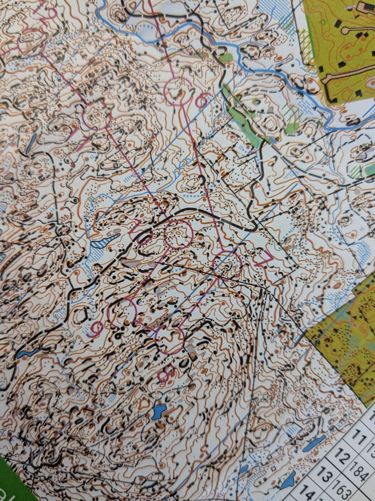 Close-up of the map, dense with rock detail