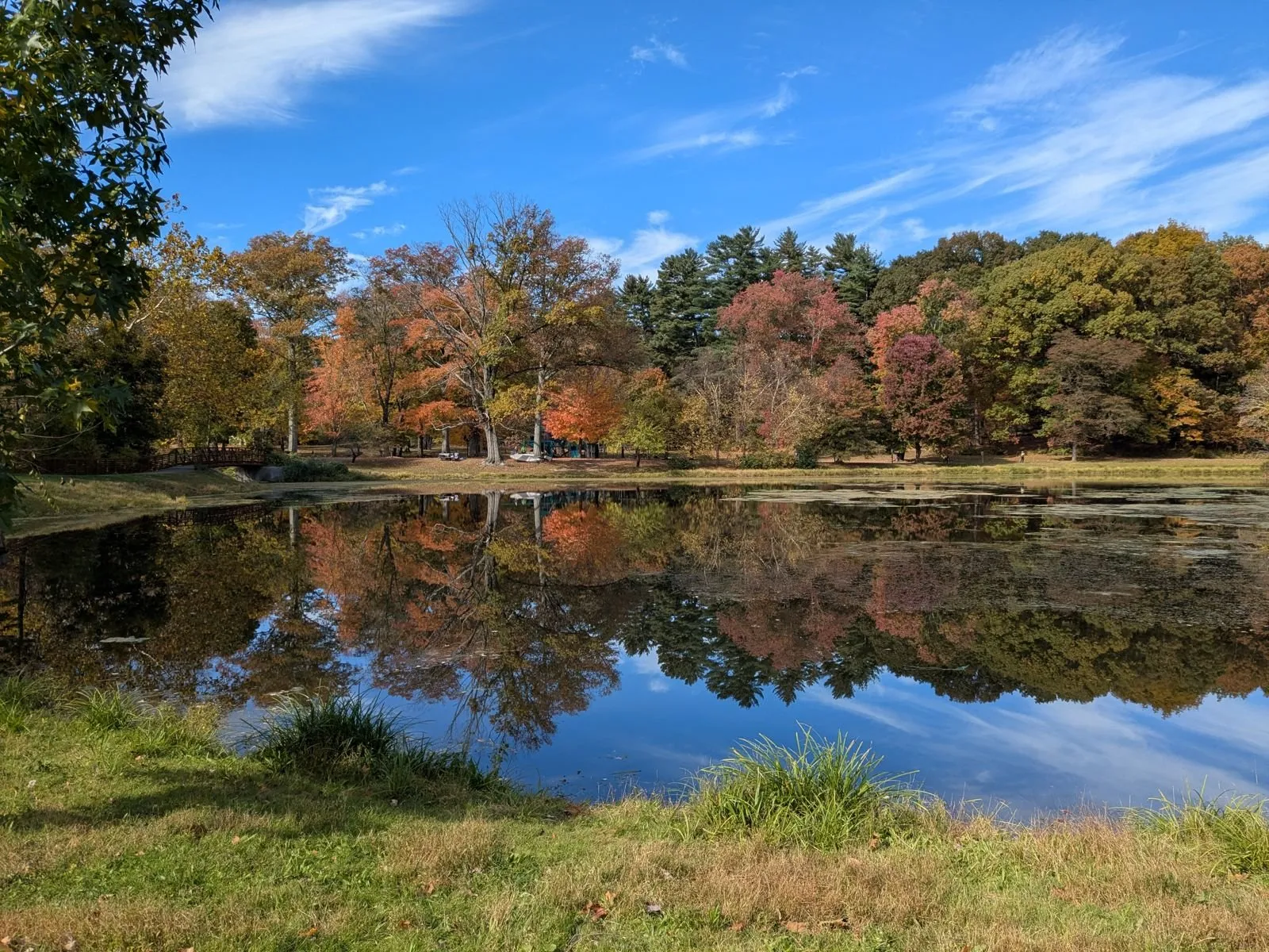A still pond reflecting red and orange trees