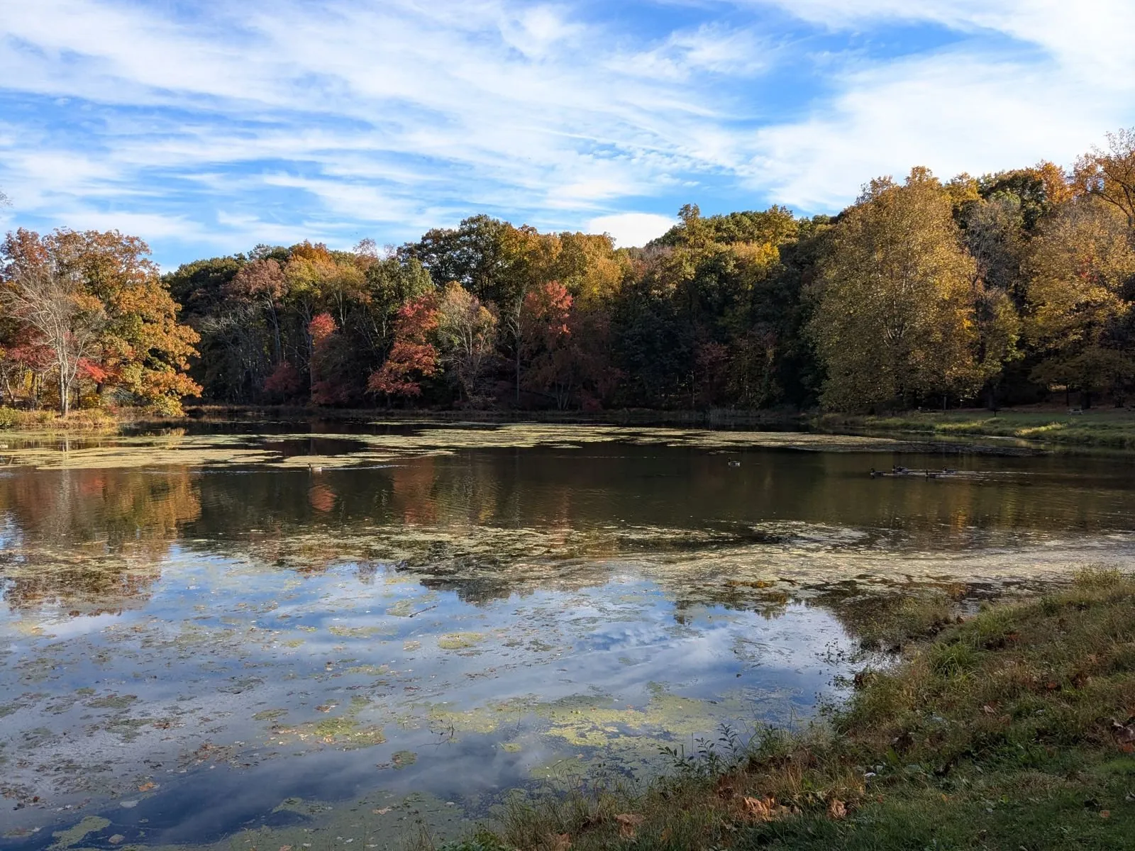 A pond reflecting autumn trees and blue sky